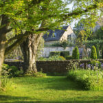 Amerika'nın çimlerini ele geçiren zararlı uygulama ve bahçenizde nasıl düzeltileceğiniz