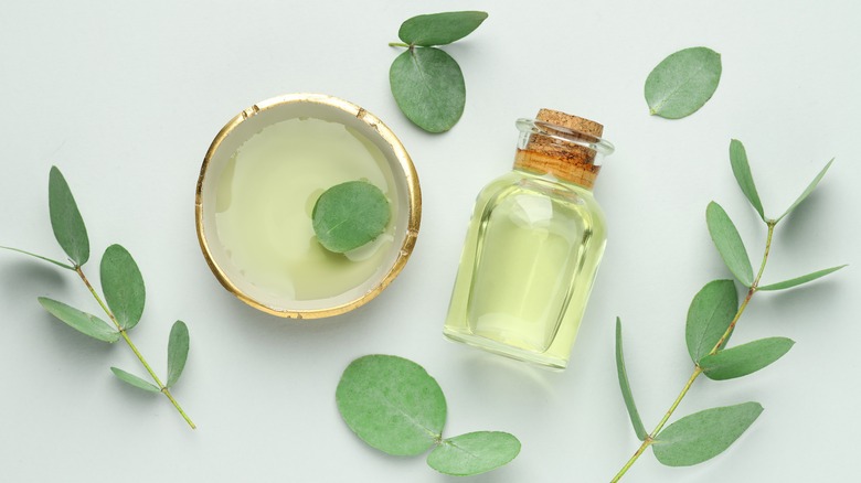 onu çevreleyen şişe yağ ve okaliptüs yaprakları