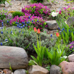 14 Düşük Bakım Çok Teşekkür