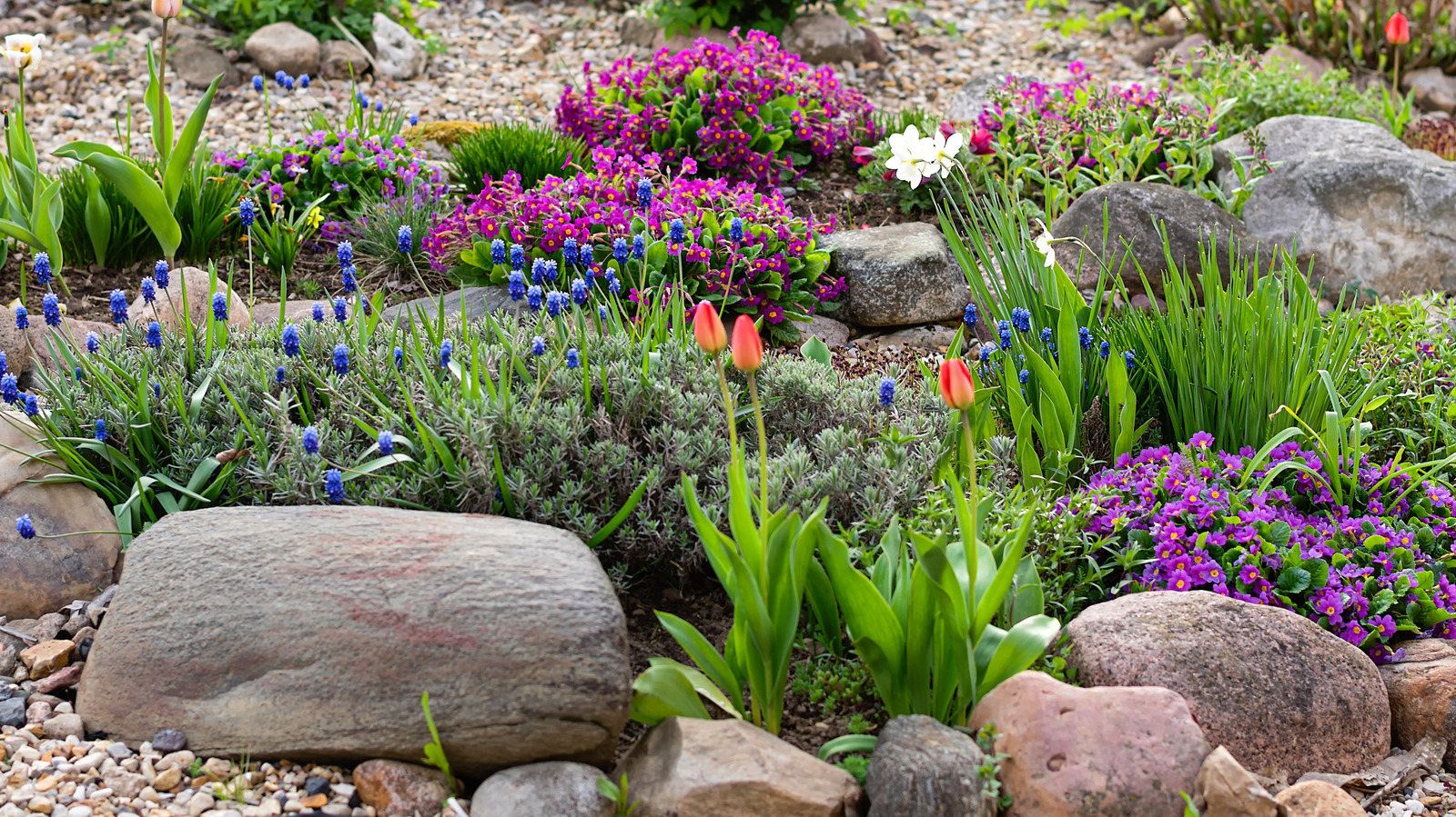 14 Düşük Bakım Çok Teşekkür