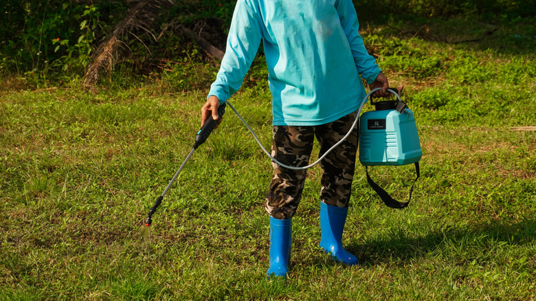 Çim üzerine yabani ot püsküren kişi