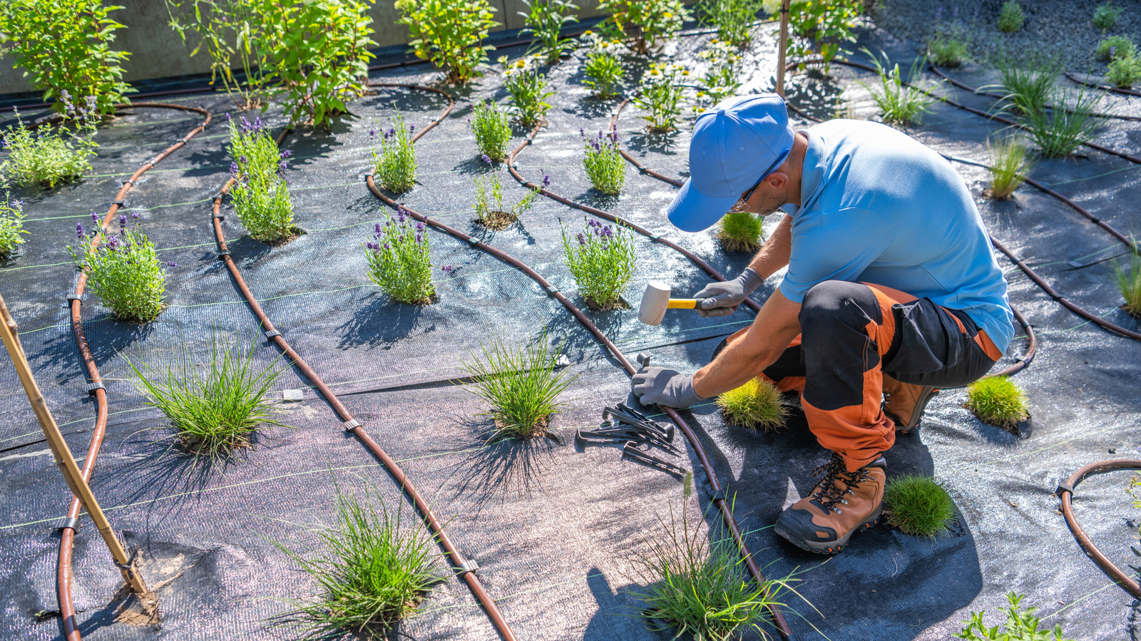 Peyzaj kumaşındaki mükemmel aralıklı delikler için basit olabilir