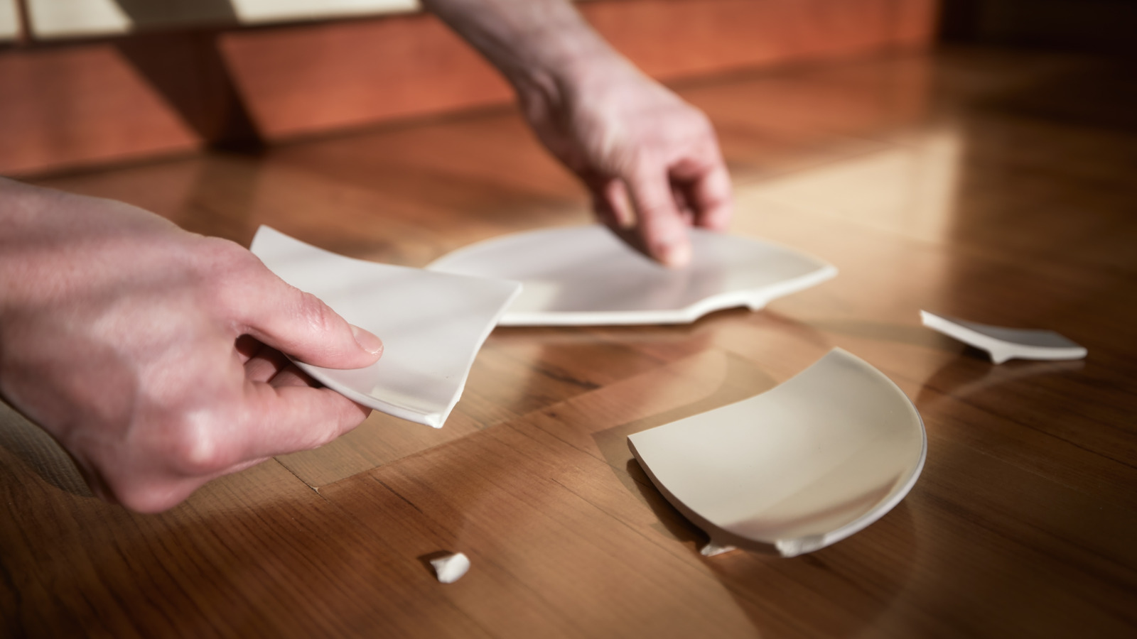 Kırık yemekler nasıl bir tür bitki bahçe duvarına dönüştürülür