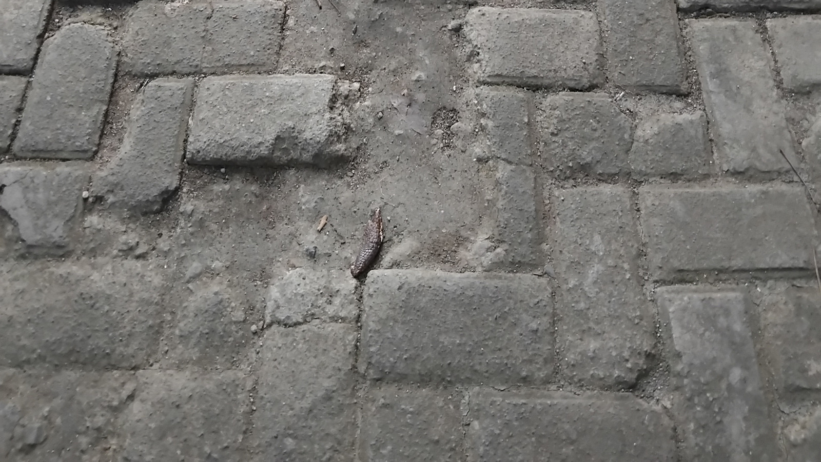 Zaten evde sahip olduğunuz önemli bir araçla kolayca batık veranda taşıyıcıları