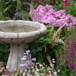 Kuş banyosunda yosun büyümesini engelleyecek kiler zımbası