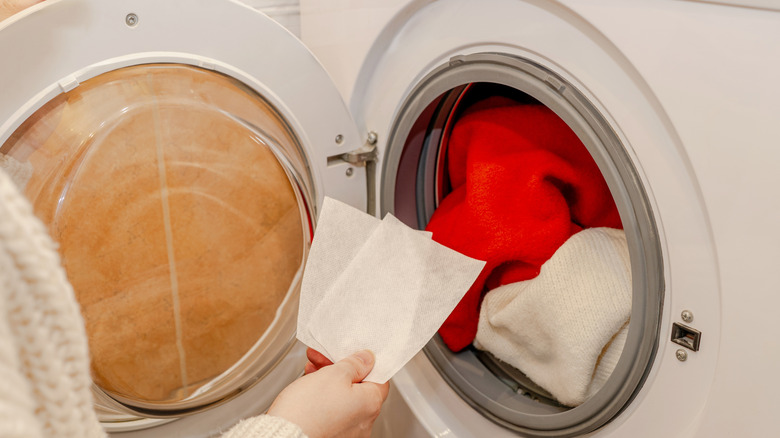 Çamaşır makinesine çamaşır deterjanları yerleştiren kişi