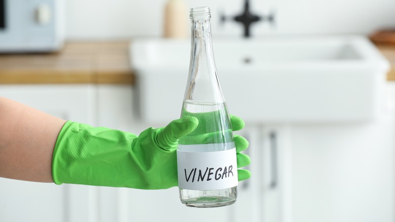 Eldiven kapalı el tutarak sirke şişesi