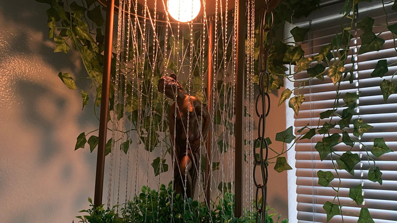 Çok sahte yeşillikli bir yağ yağmur lambasının karamsar parıltısı