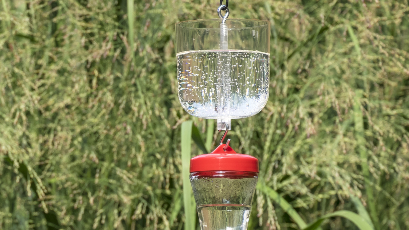 Boş plastik şişeleri fırlatmayın, bir tutam içinde bir karınca hengini DIY için yeniden kullanın