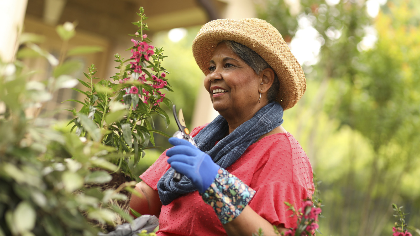 Onları mutlu ve sağlıklı tutmak için Temmuz ayında budamanız gereken 10 bitki