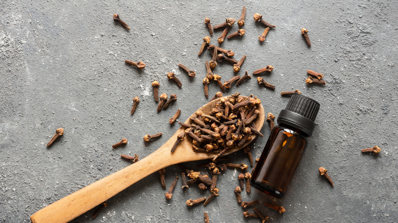 Karanfil esansiyel yağı