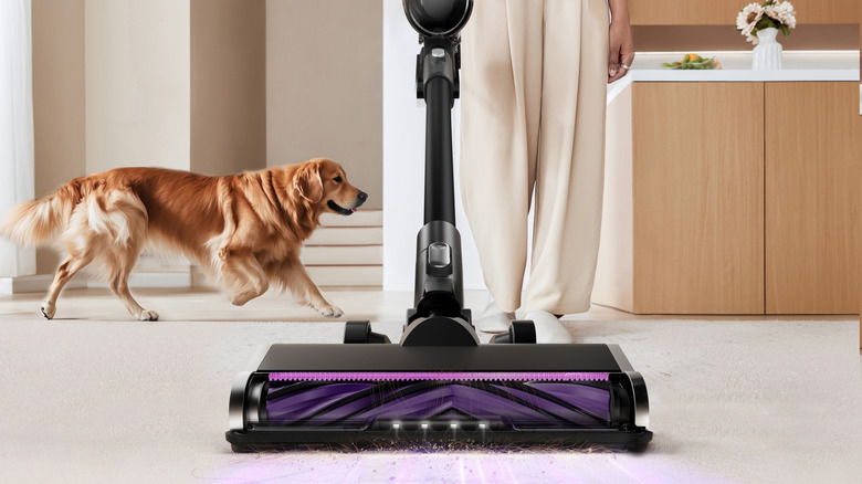 Zemini arka planda çalışan bir köpekle temizlemek için eureka vakumu kullanan bir kişi