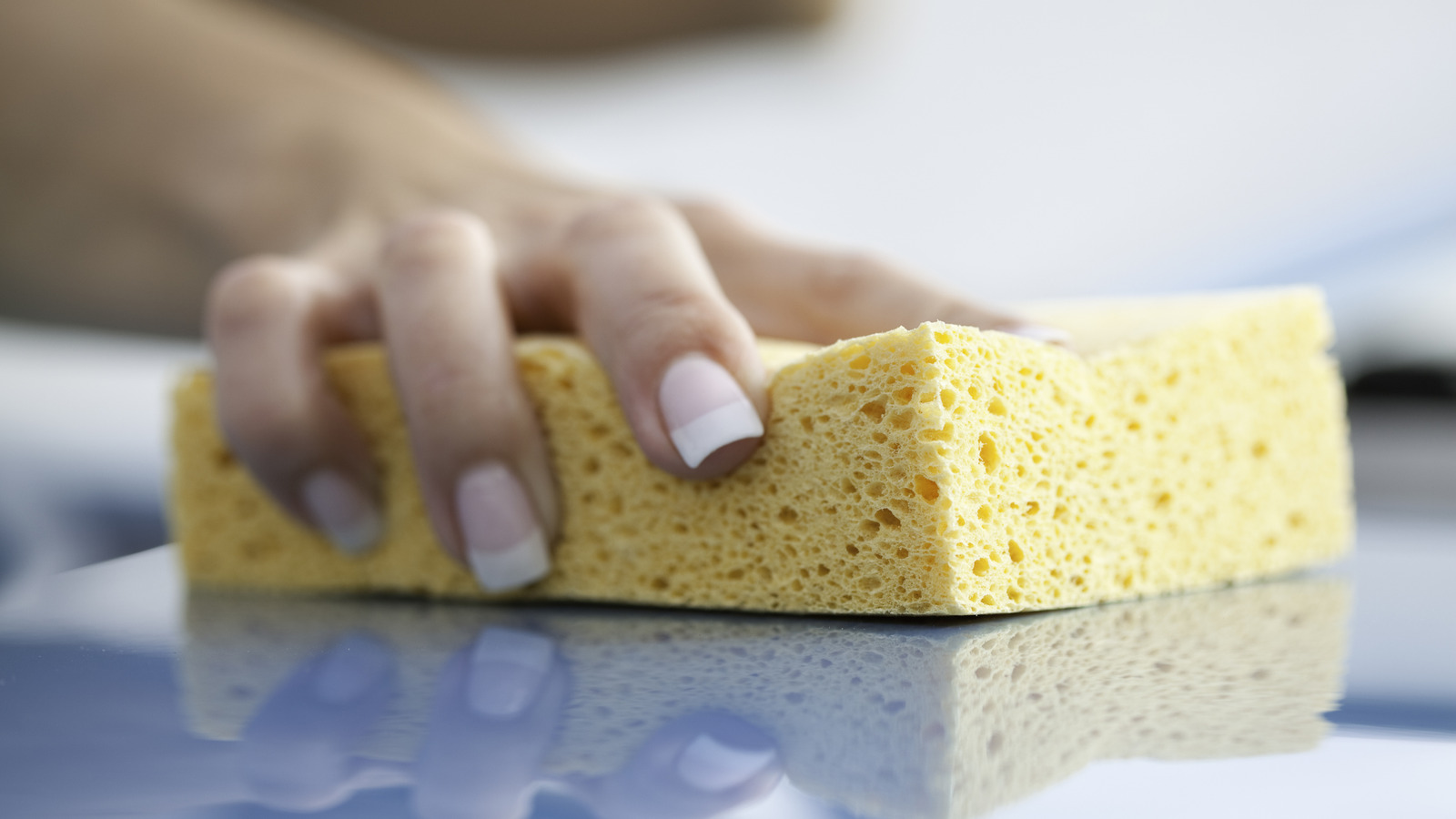 Bahçede bitkilerinizi nemlendirmeye yardımcı olan süngerler için akıllı kullanım