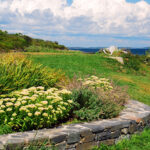 Bir kıyı bahçesine mükemmel şekilde uyan sevimli DIY kuş besleyici