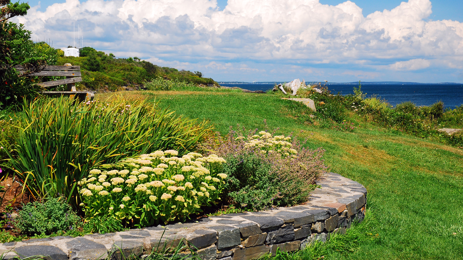 Bir kıyı bahçesine mükemmel şekilde uyan sevimli DIY kuş besleyici