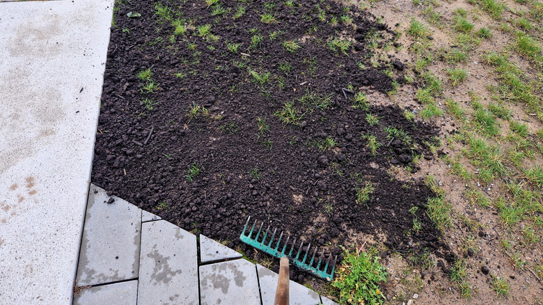 Kaldırımlarla çevrili, üstte üst giyinmiş toprak ve yakınlarda eğilmiş bir tırmık bulunan seyrek bir çim