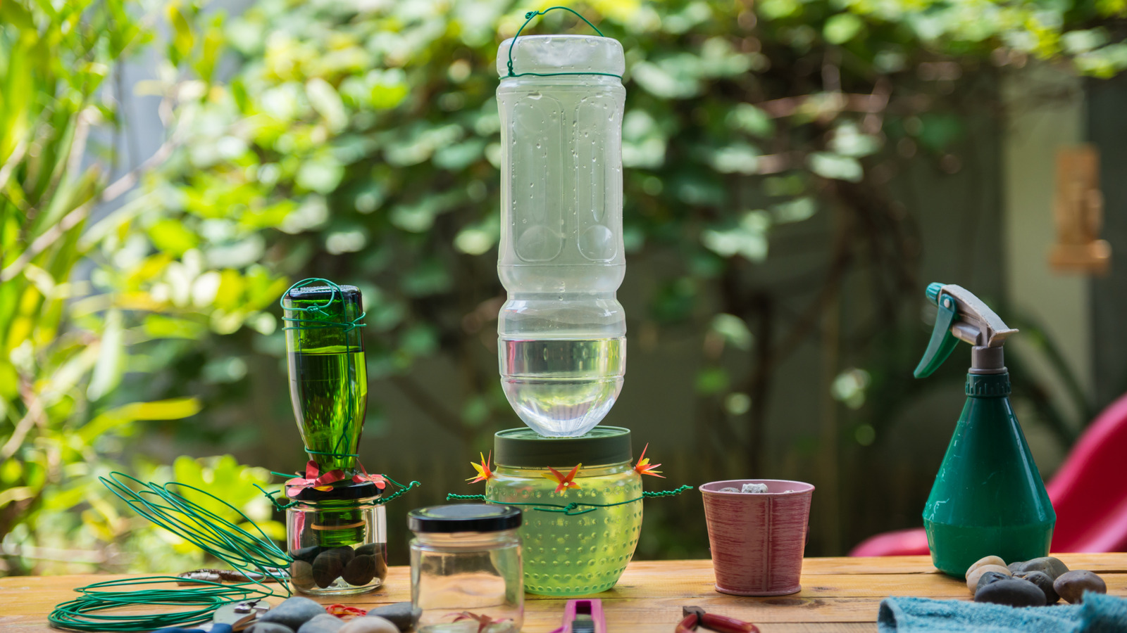 DIY sinek kuşu besleyicilerinin göz ardı edilen dezavantajı