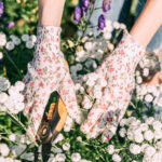 Güney Teksas'ta yükselişte olan zehirli tırtıl tipi