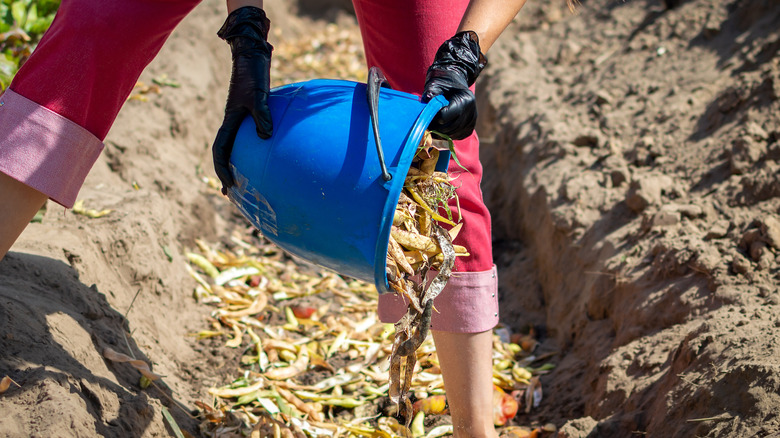 Genç bir kadın, plastik bir kovadan bir kompost çukuruna organik atık döküyor.
