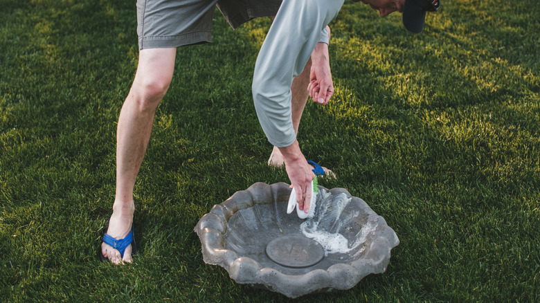 Bir kuş banyosunu temizleyen kişi