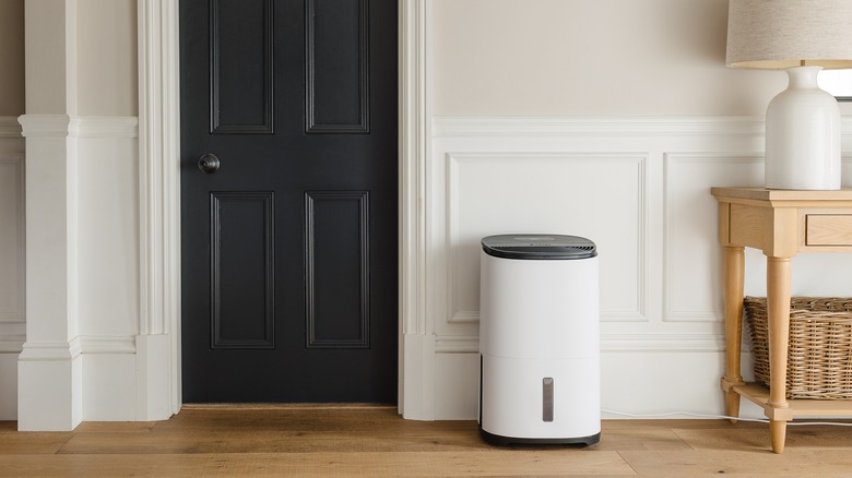 Ana koridorda şık nem alıcı ve hava temizleyici