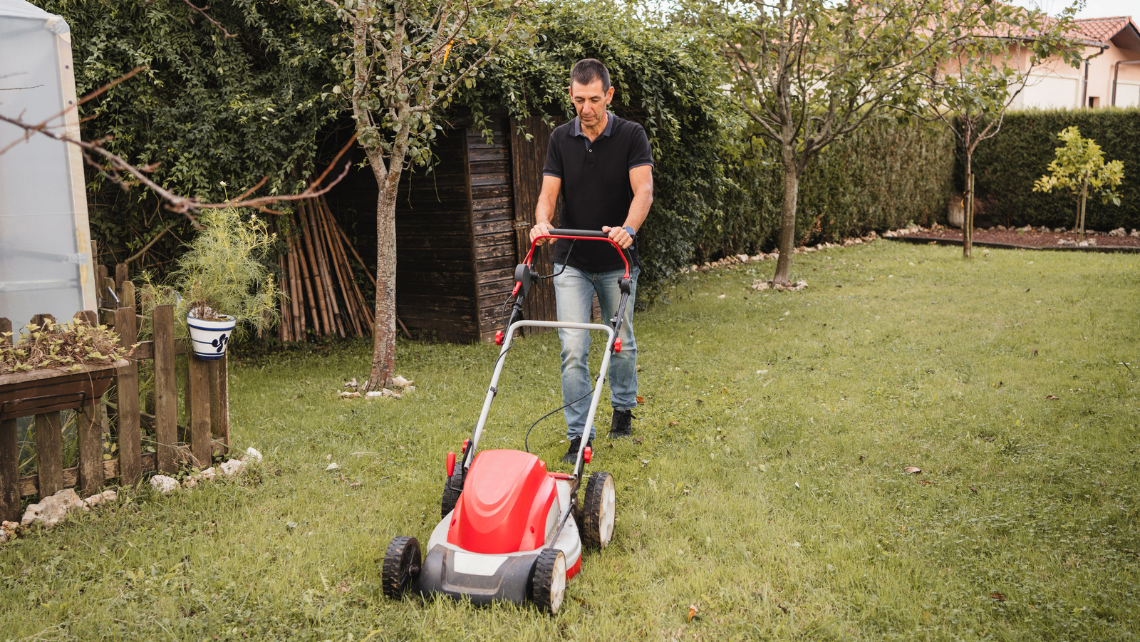 Yağmurdan önce mi yoksa sonra mı çim biçmelisiniz? Bazı insanlar yanlış anlıyor