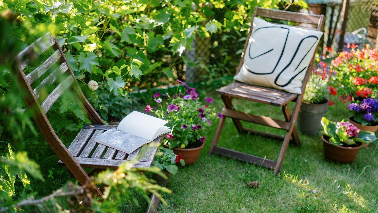 Bu kır çiçeği gölgeli bir bahçede veya bahçede mükemmel büyür