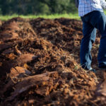 Ryobi'nin Tillers satın almaya değer mi? İşte incelemelerin söylediği