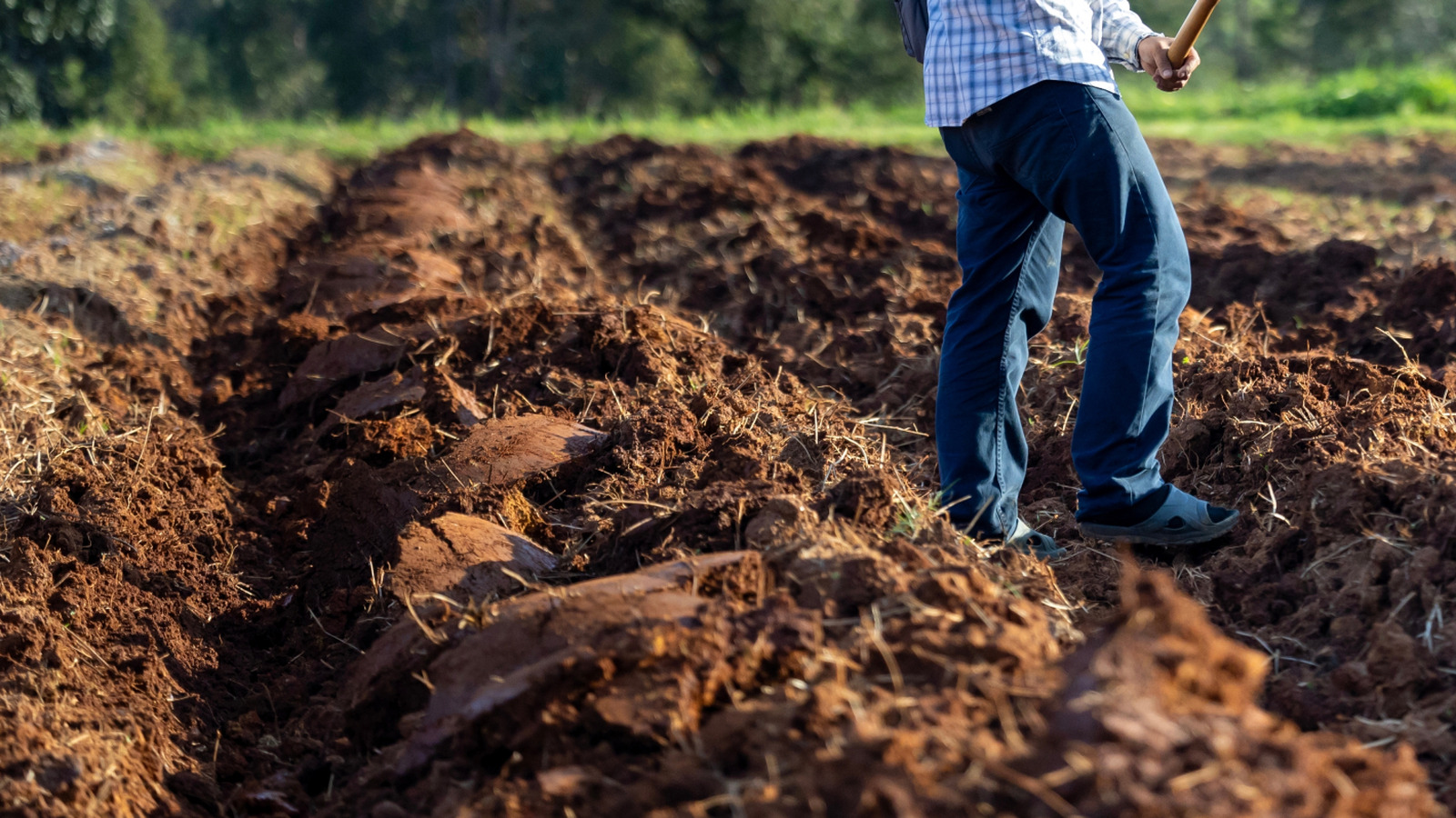 Ryobi'nin Tillers satın almaya değer mi? İşte incelemelerin söylediği