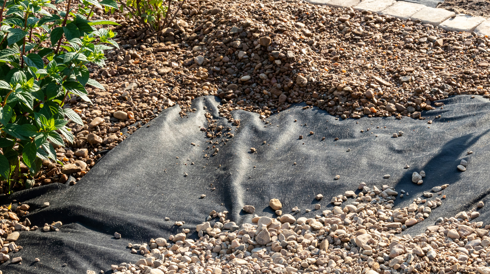 Çakıl altındaki manzara kumaşını atlayın ve yabani otları uzak tutmak için doğal bir alternatif deneyin