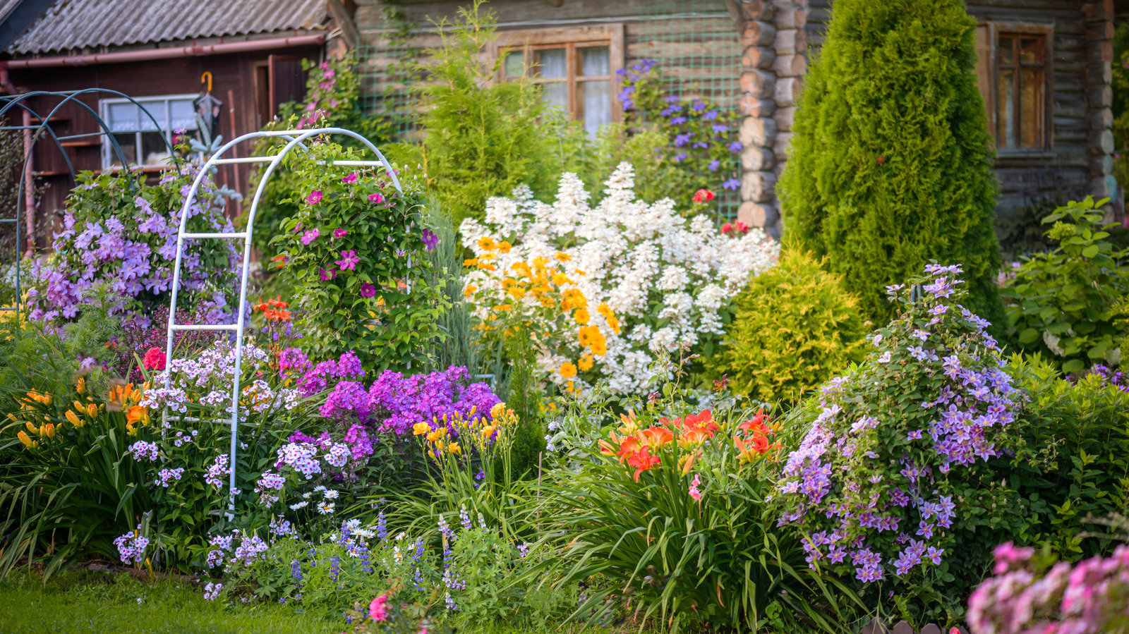 Bahçenizi yıl boyunca renkli tutun Çiçekli çalı tozlayıcılar sevgiyle