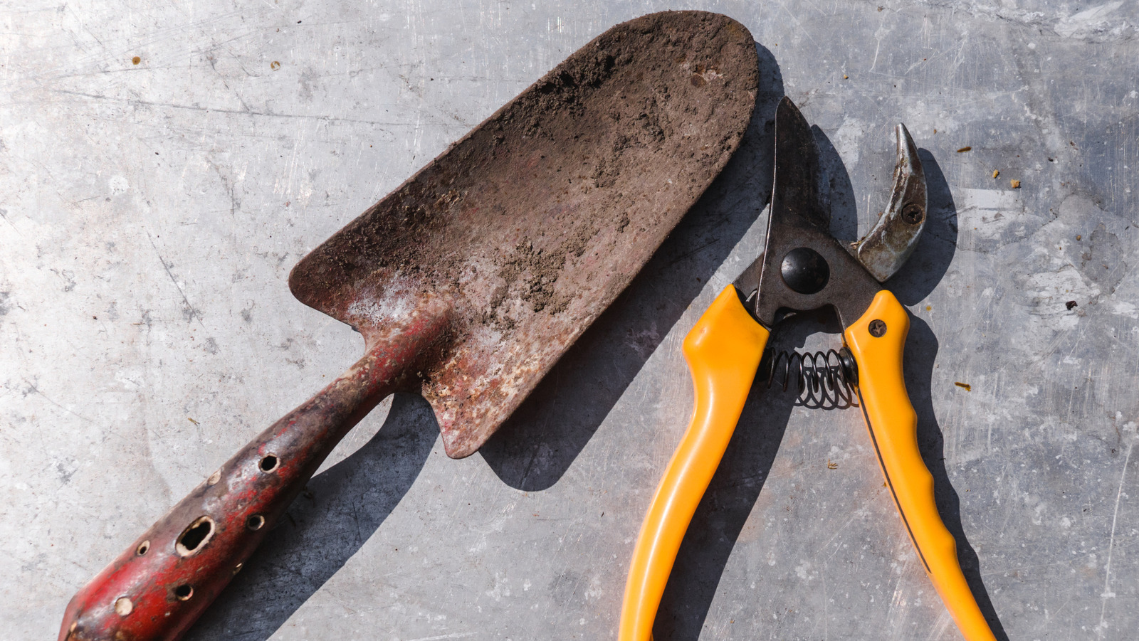 Tüm bahçe aletlerinizi uygun fiyatlı bir mutfağı kullanarak parıldayan