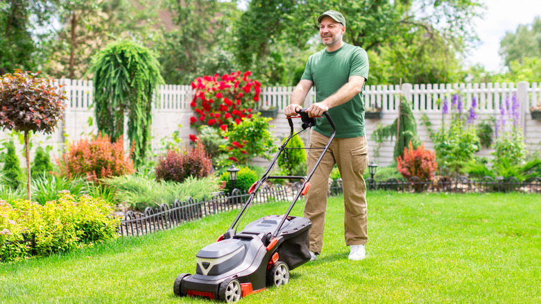 Çimlerini mutlu bir şekilde biçen bir adam