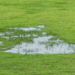 Bahçenizdeki su birikintileri size çimlerinizin durumu hakkında söyleyebilir