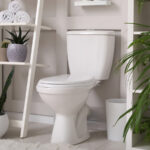 İnsanlar neden tuvalet tanklarına kumaş yumuşatıcıyı koyarlar (ve yapmalısınız?)