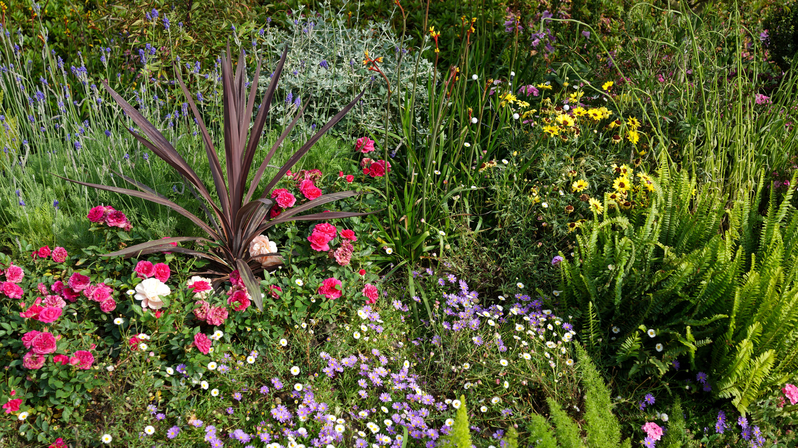 Bütün yaz boyunca çiçek açan 3 güzel çiçekli zemin kapakları