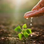 Neden Popüler İmparatoriçe Ağacı Evinizin yakınında büyümesini istediğiniz son bitkidir?