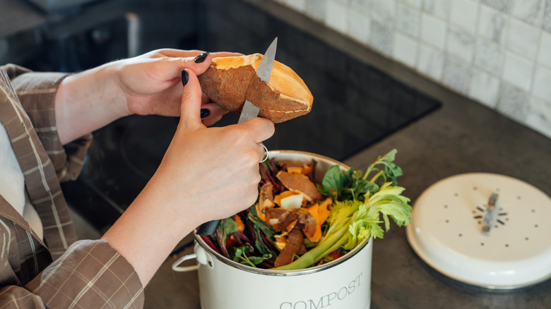 Bir kişi bir kompost çöp kutusunun üzerinden tatlı patatesleri soyar