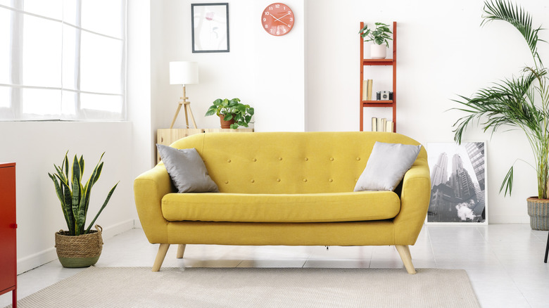Özel sarı kanepe, saksı bitkileri ve diğer tasarım öğeleri içeren modern bir oturma odasının iç görünümü.