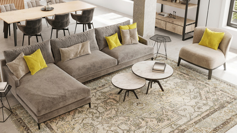 Bej kanepeli ve büyük toprak tonu bej halısı ile oturma odası