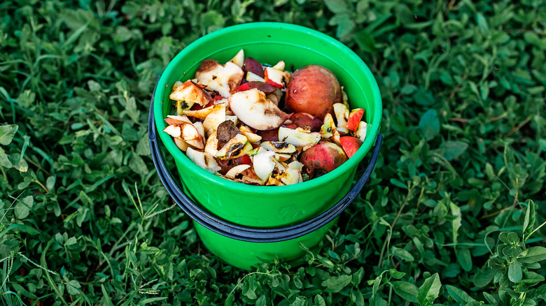 Elma Kova Kovasında Kalıntılar