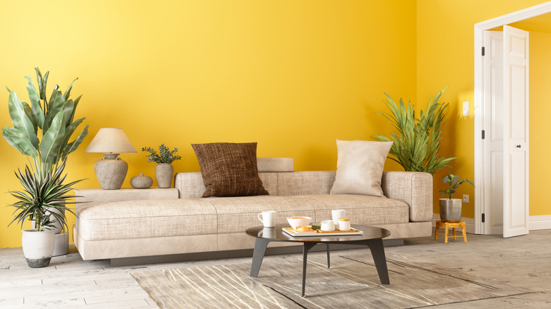Nötr oturma odasında sarı duvar boyası