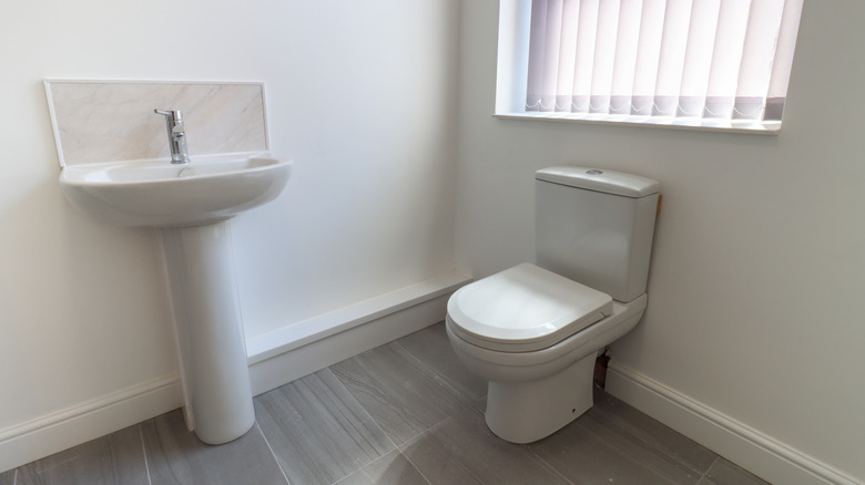 Temel süpürgeli tuvalet ve kaide lavabosu, ışık dolu bir banyoda birbirine yakındır