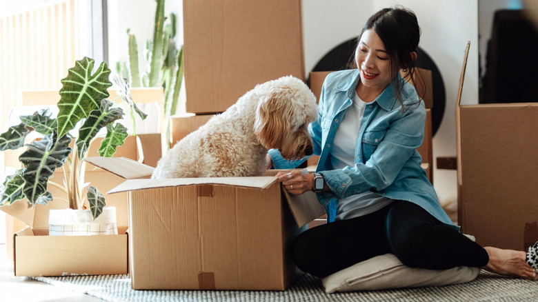 Yeni bir kiralık birimde kadın ve köpek paketini açma kutuları