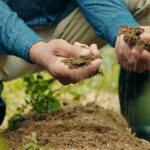 Bahçecilik DIY Toprağınızın pH seviyelerini test etmeniz gerekir