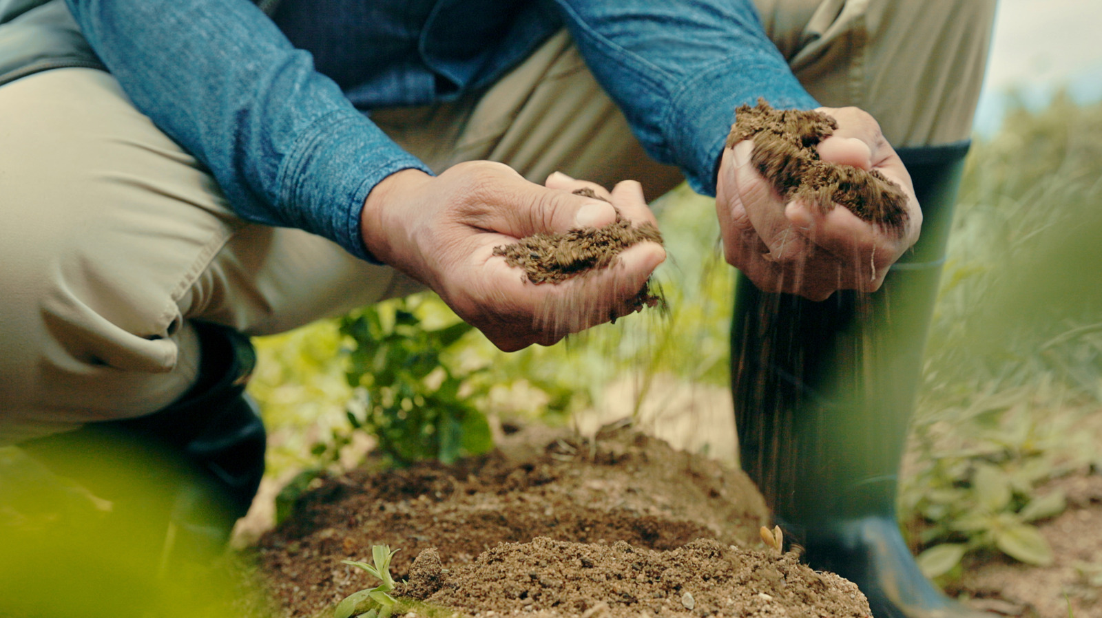 Bahçecilik DIY Toprağınızın pH seviyelerini test etmeniz gerekir