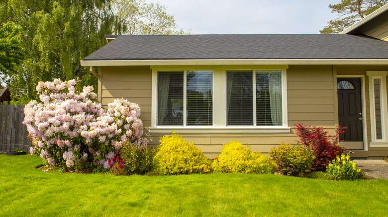 Ön çimlerde çiçek ve çalılarla çevrili tek katlı bir ev