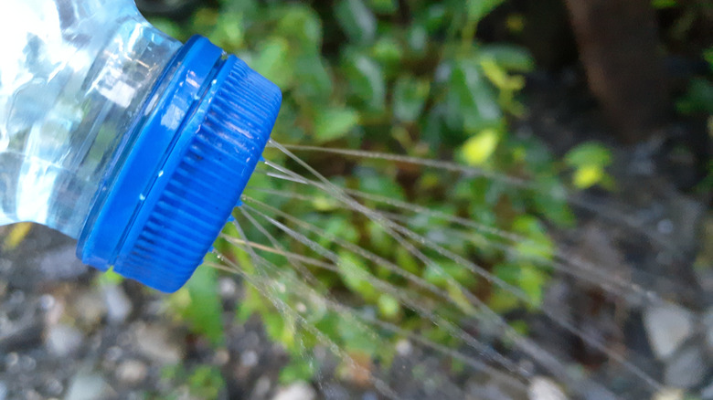 Bir su şişesinin delinmiş kapağından su püskürtüyor