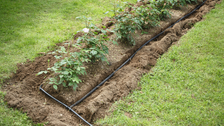 Bahçe yatağında bir hendekte yatan daha kötü bir hortum