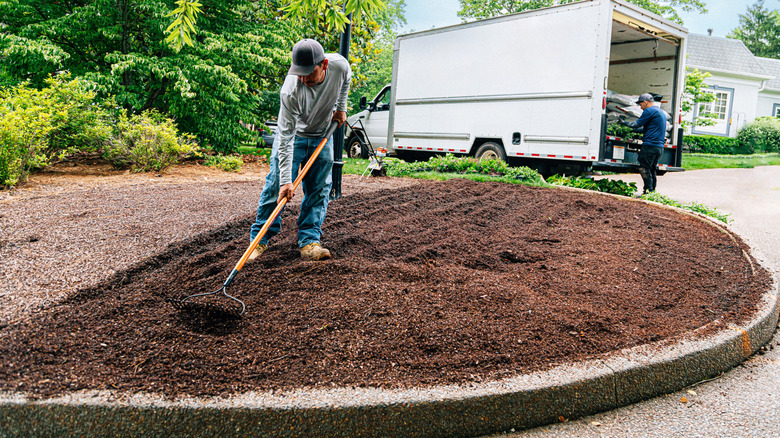 Bir bahçede toprağa organik malzemeyi yayan biri